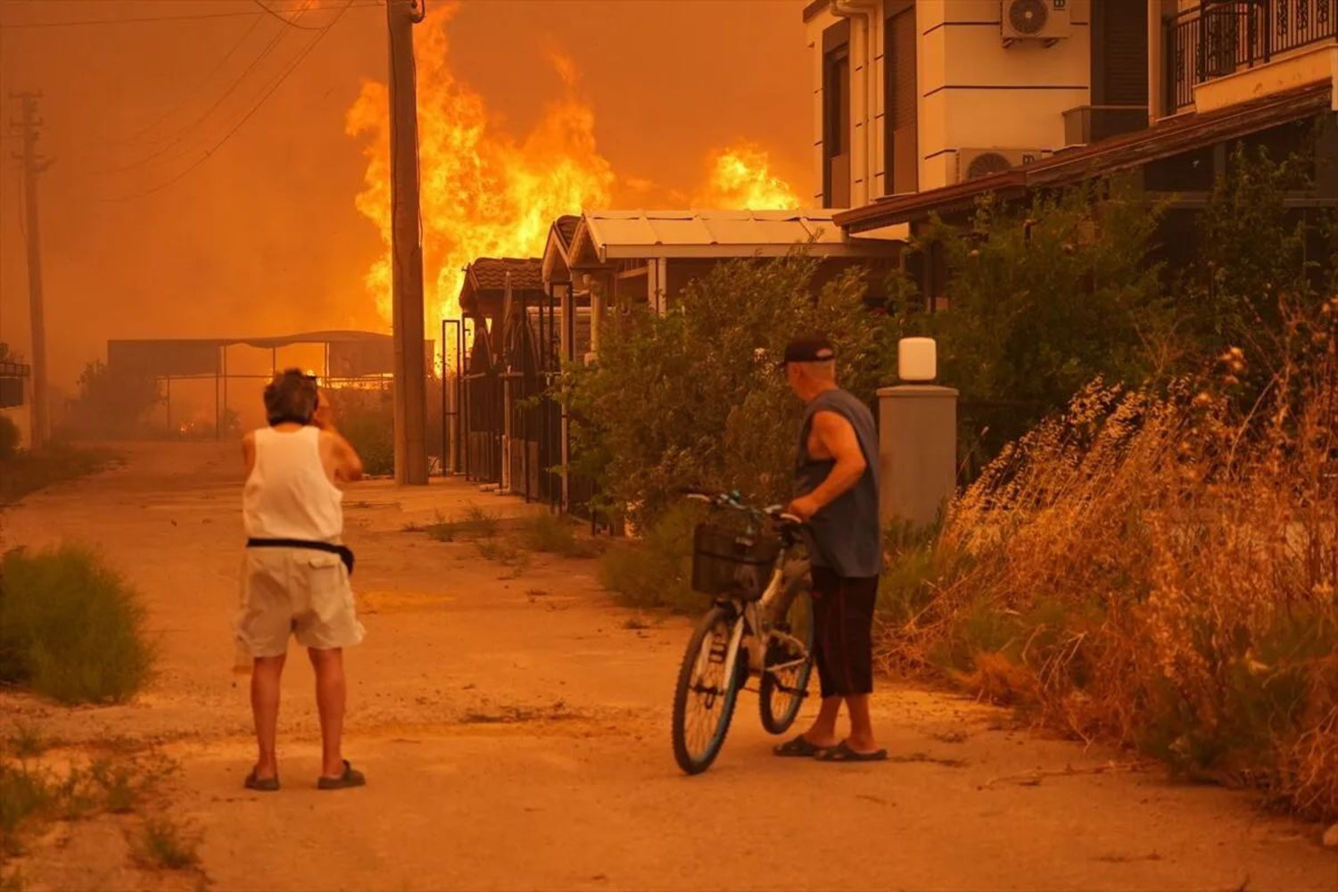 CHP'li Bakan'dan Seferihisar'a 'acil müdahale' çağrısı